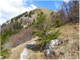 Podbrdo - Slatnik (southeastern peak)